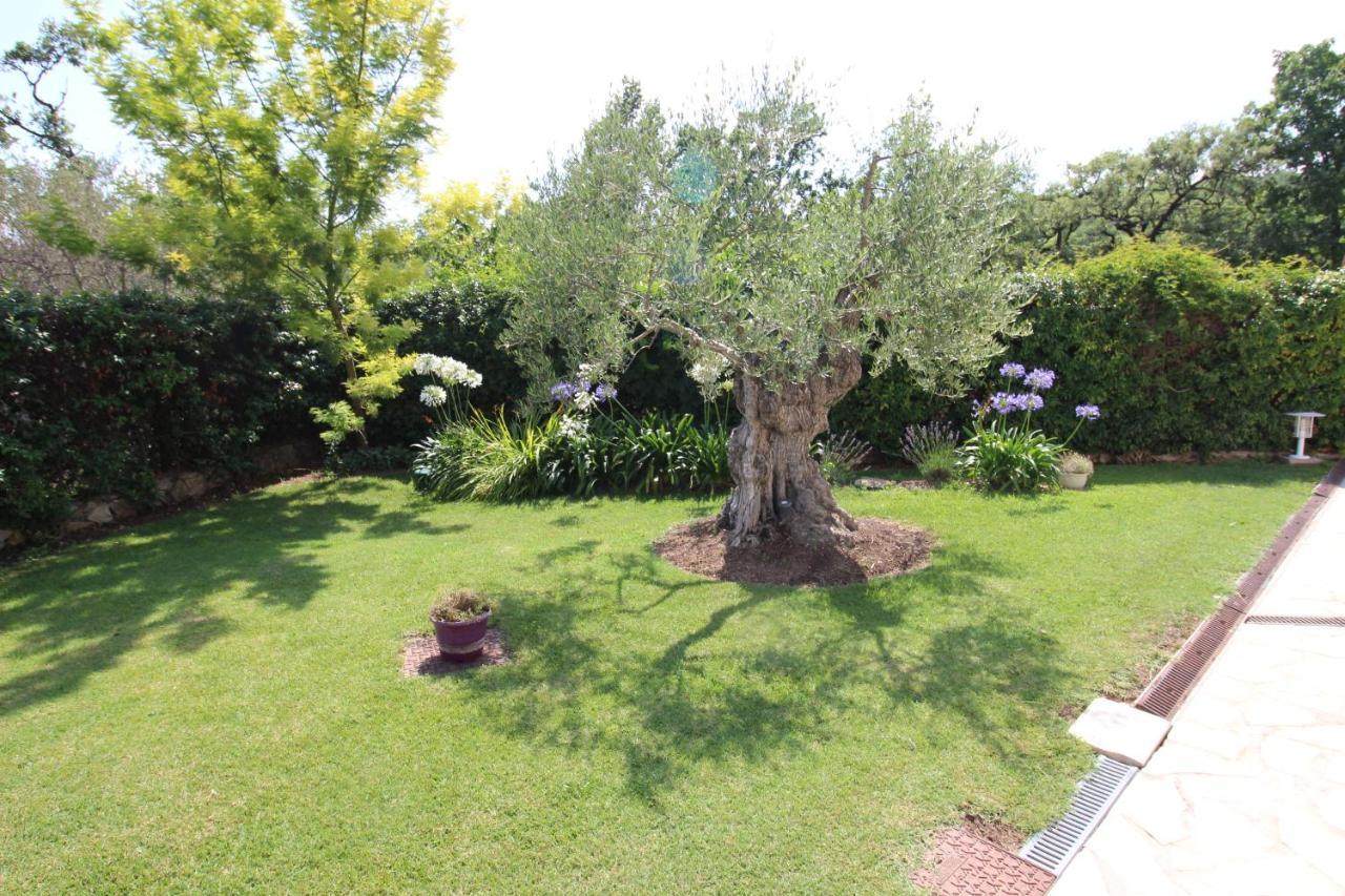 Villa Jalna Chambre, Suites Et Appartement Roquefort-les-Pins Exterior photo